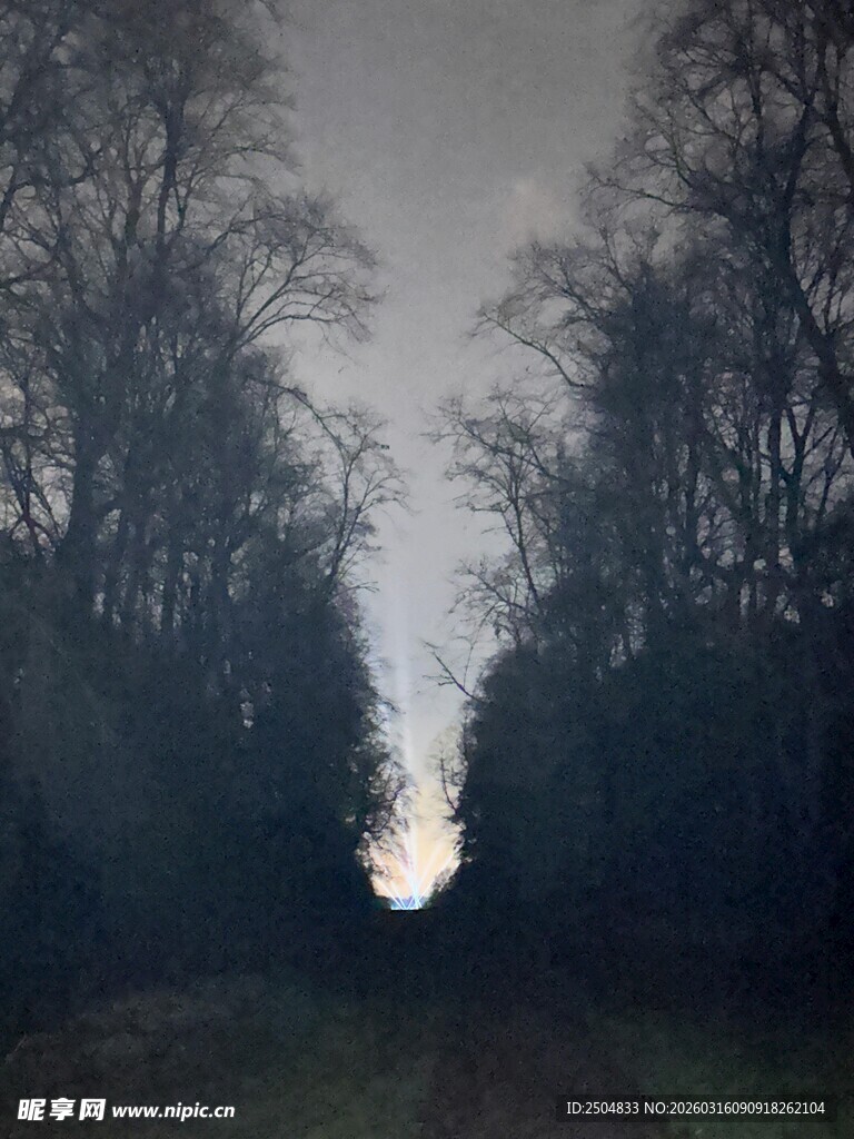 幽暗林间小道 神秘氛围