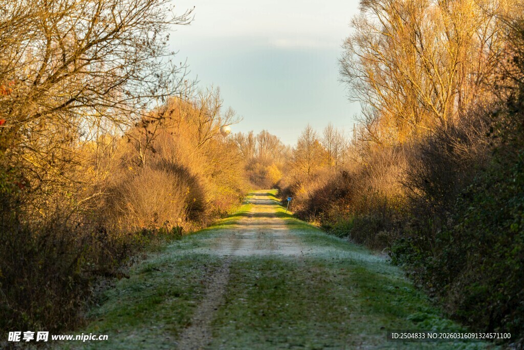 秋日林间小路美景