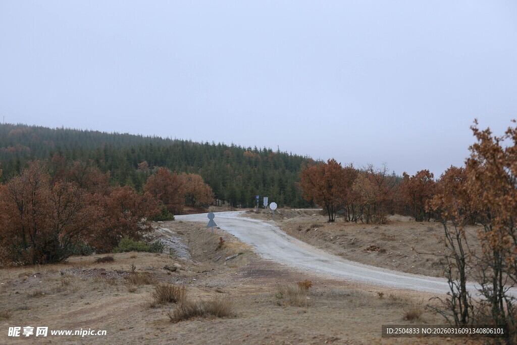 荒野中的蜿蜒土路