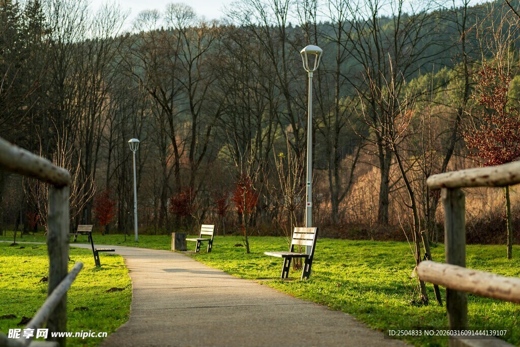 林间漫步小径 静谧好风光