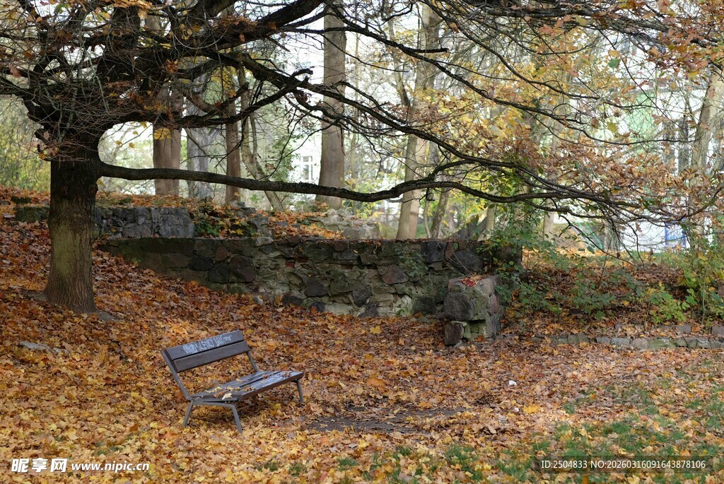 秋日林间长椅静景