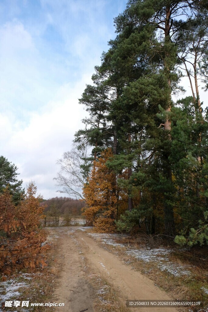秋日林间小路 景色宜人