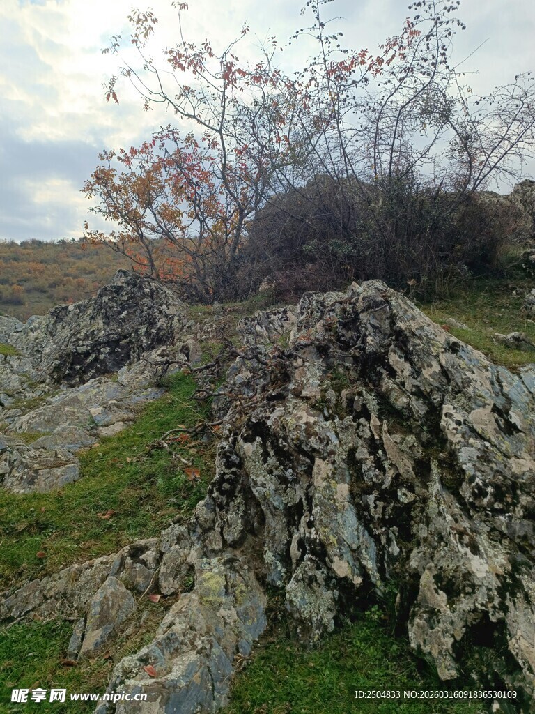 野外嶙峋岩石与稀疏树木