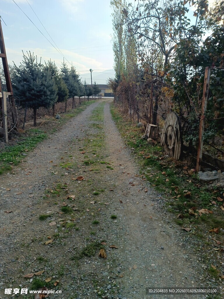 乡间土路 静谧田园风光