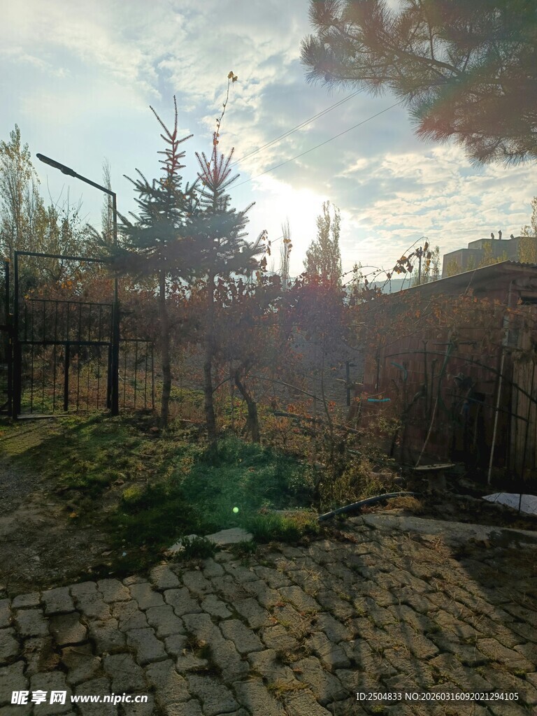 夕阳下的庭院小径景观