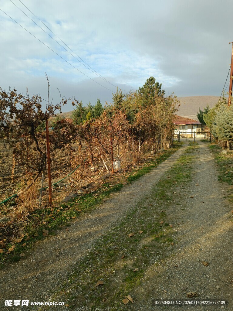 秋日乡间小路风景