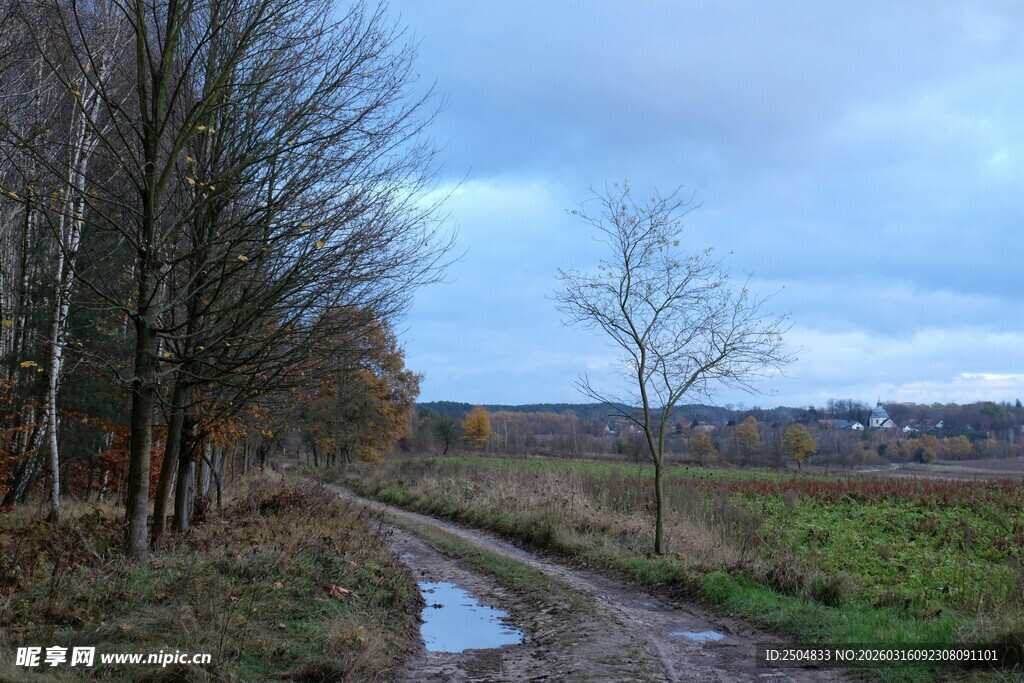 乡间泥泞小路的自然景致