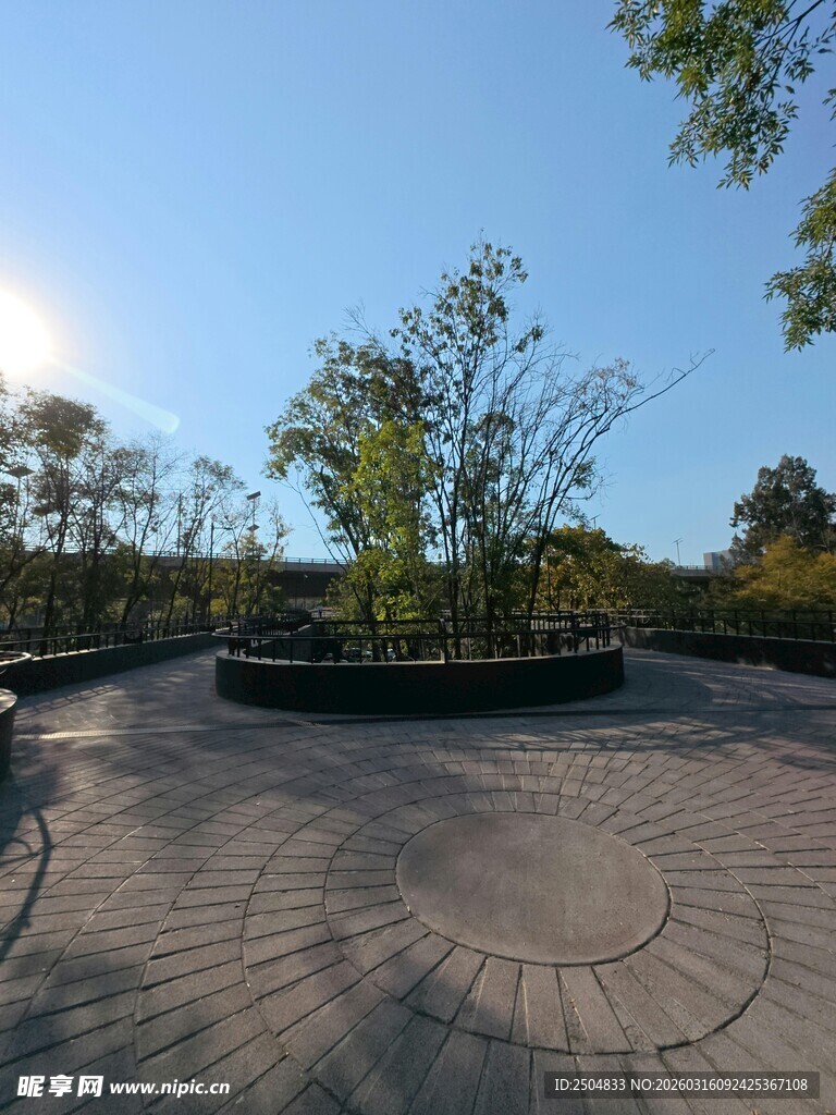 户外圆形步道与绿植景观