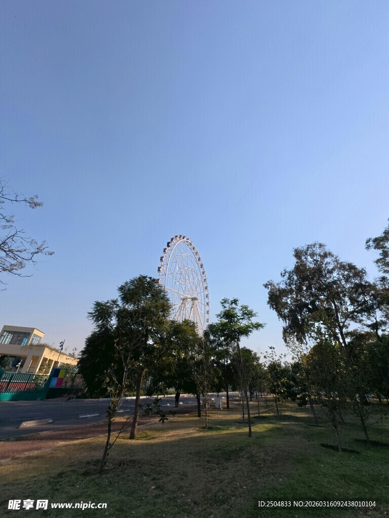 公园中的摩天轮与绿树