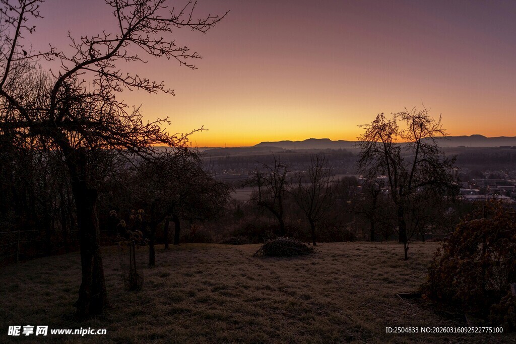 黄昏下的旷野树林景色