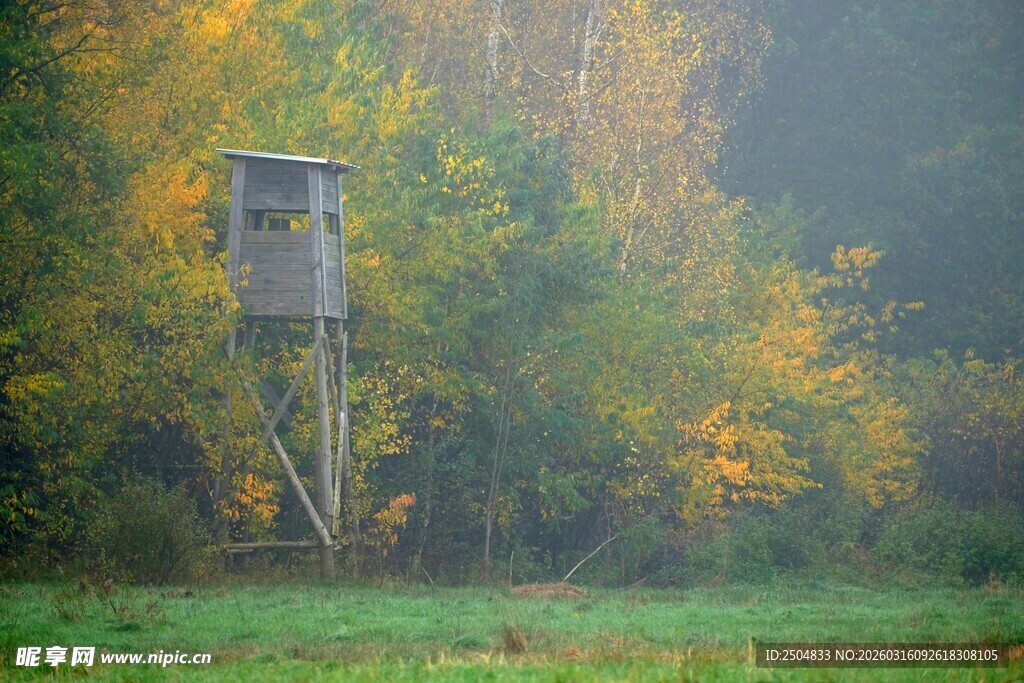 秋日林中的瞭望塔
