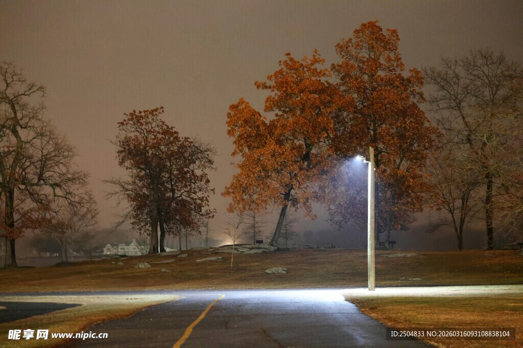 秋夜路灯下的静谧道路