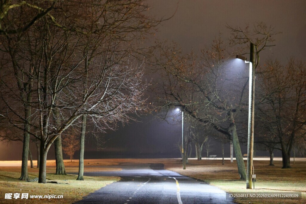 夜晚林间的明亮路灯