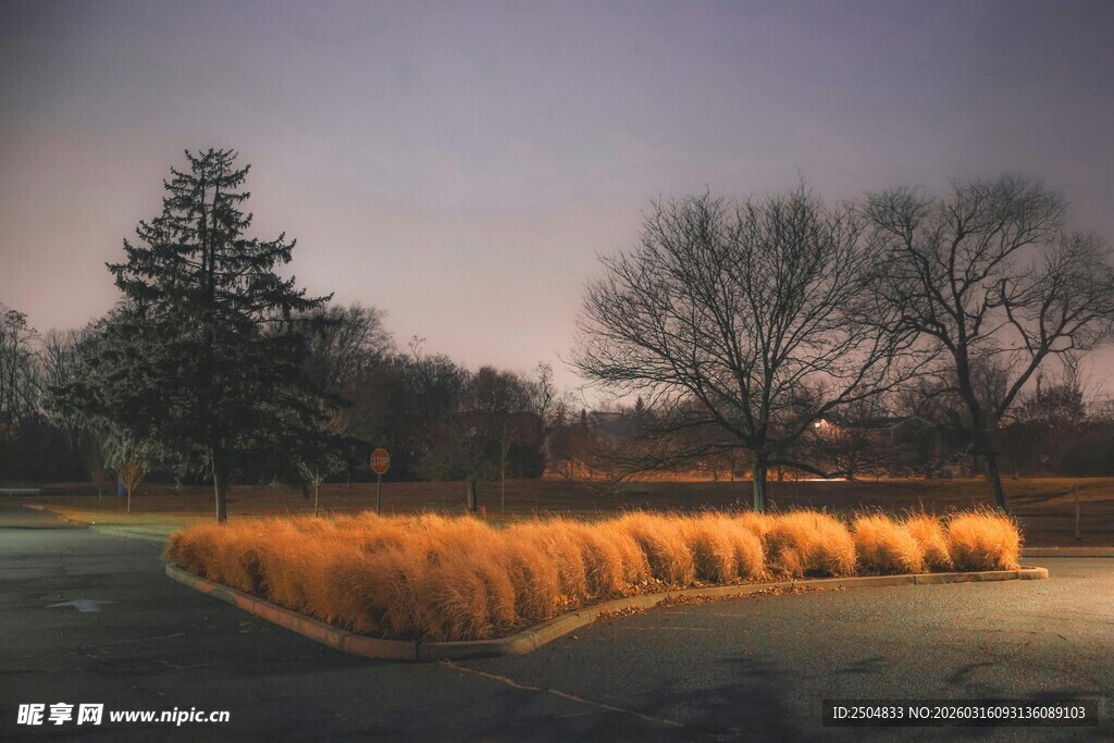 田野间的金黄干草堆
