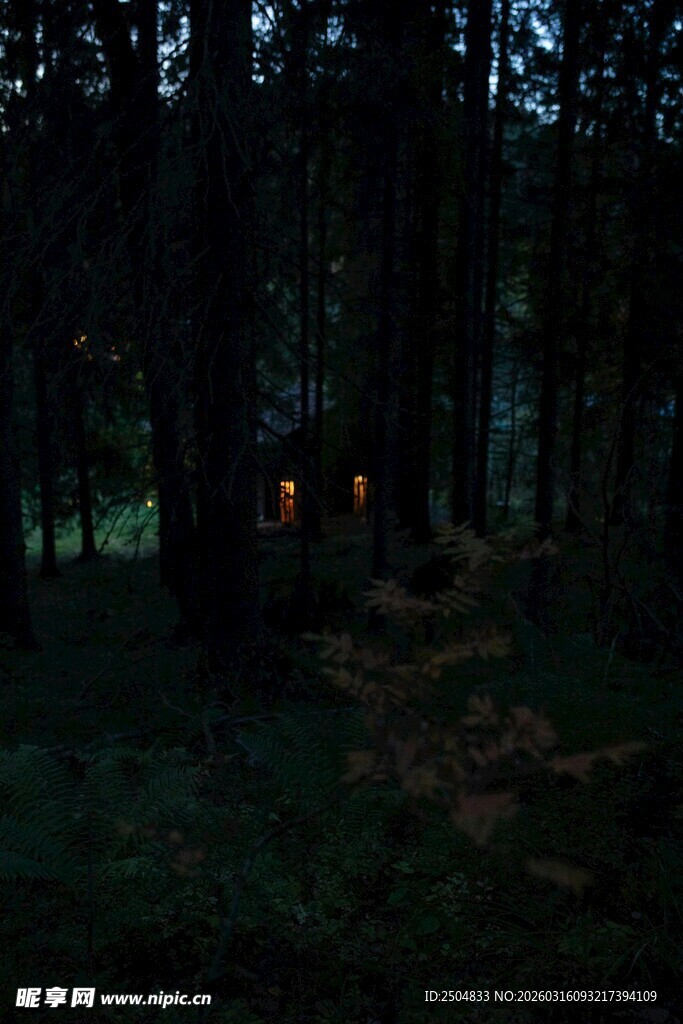 夜幕下的静谧森林小屋
