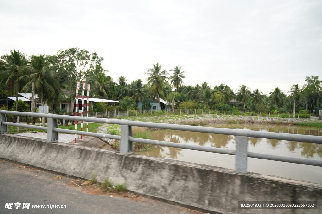 乡村路旁的宁静水域