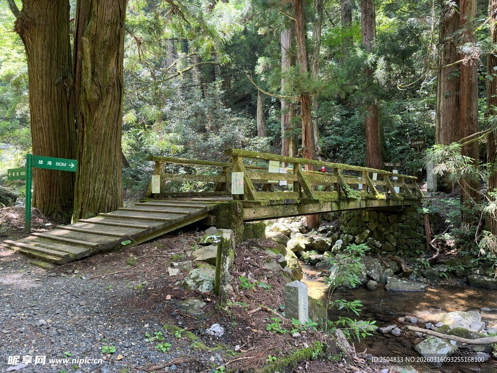 森林中的木质栈道景观