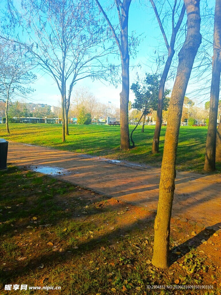 公园林间小道的美好景致