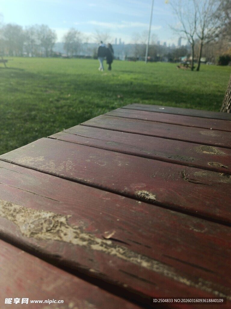 公园木桌近景