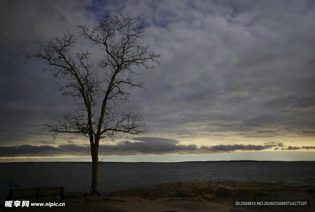 黄昏孤树 天际云景