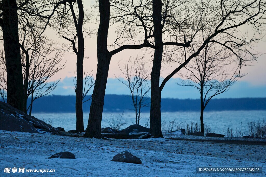 冬日湖畔枯树雪景