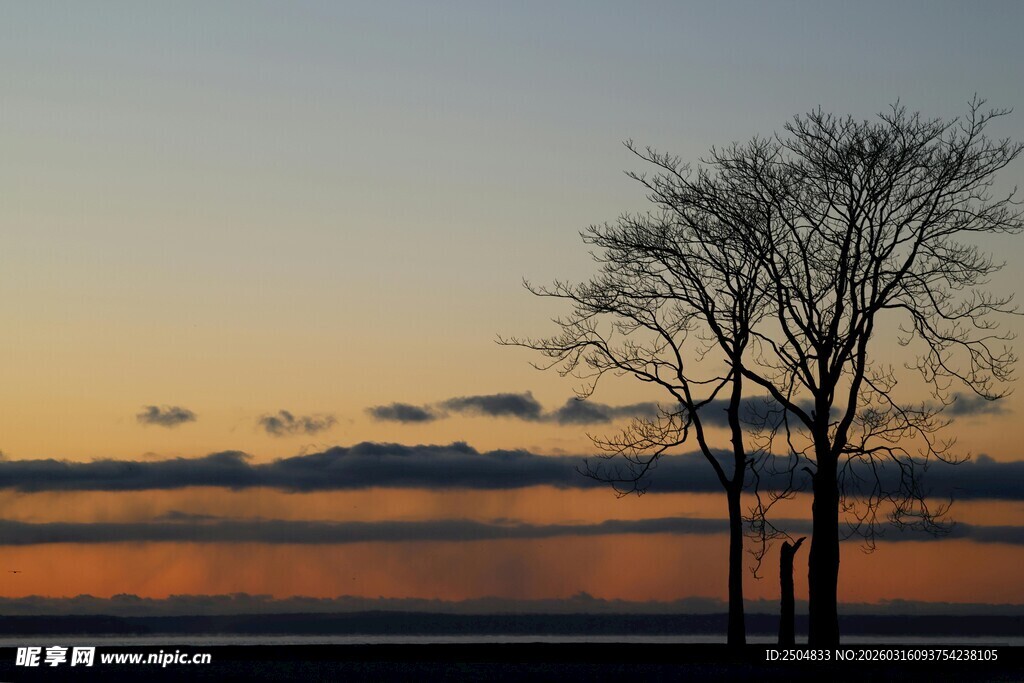 夕阳下的孤树与宁静湖面