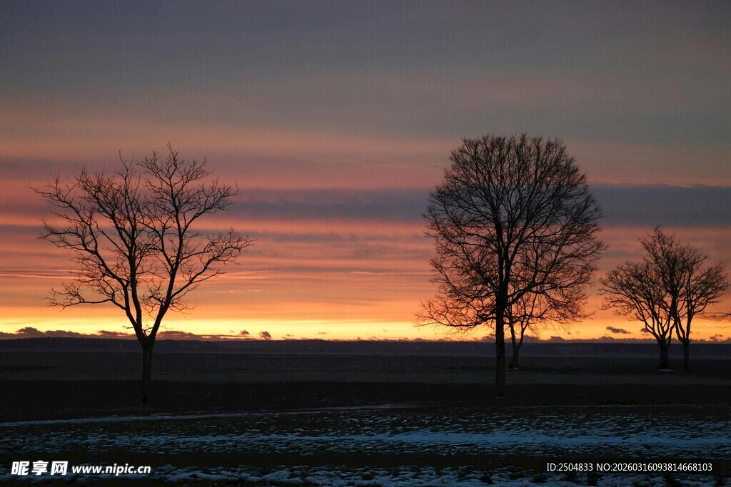 冬日田野的绝美日落景象