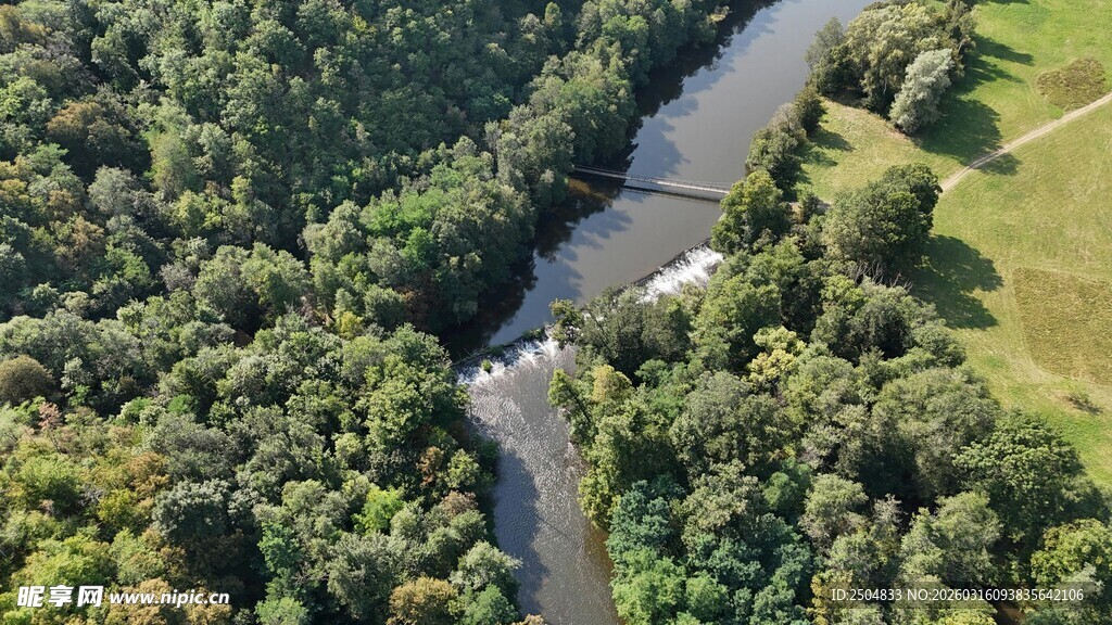 俯瞰葱郁森林中的蜿蜒河流