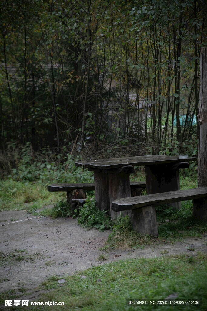 林间野餐桌椅 静谧自然处