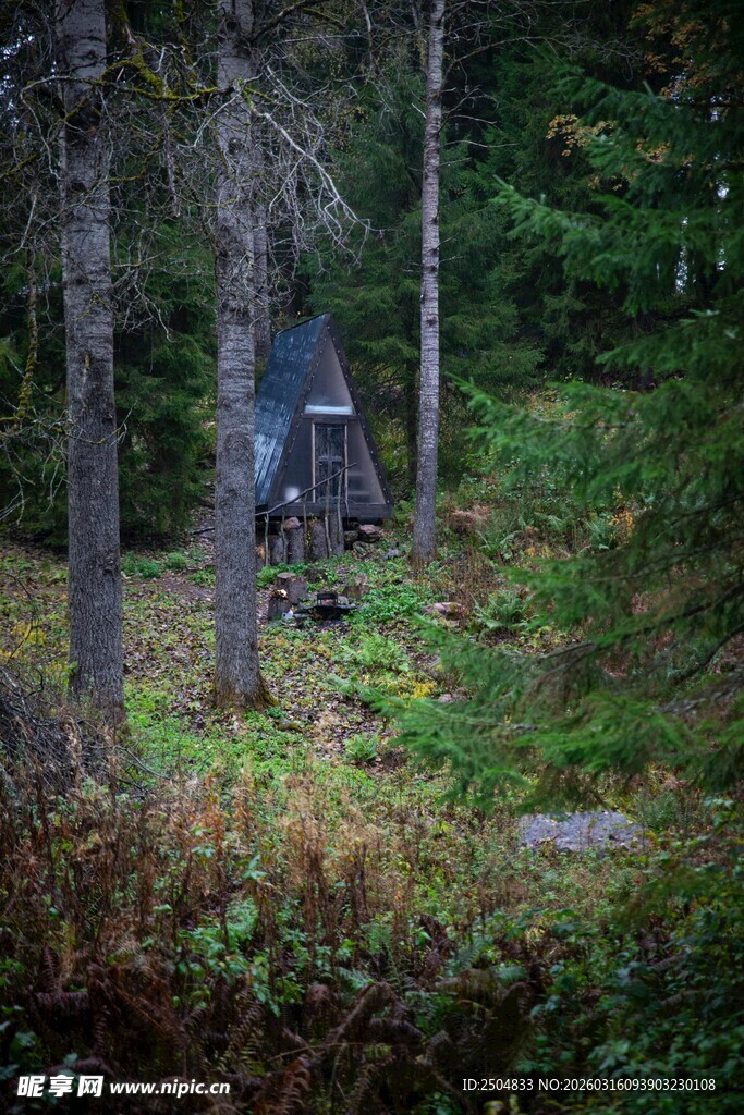 森林中的神秘小屋