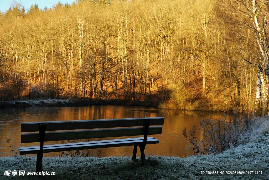 湖畔长椅映秋日树林美景