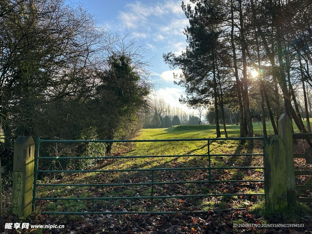 冬日林间暖阳风景