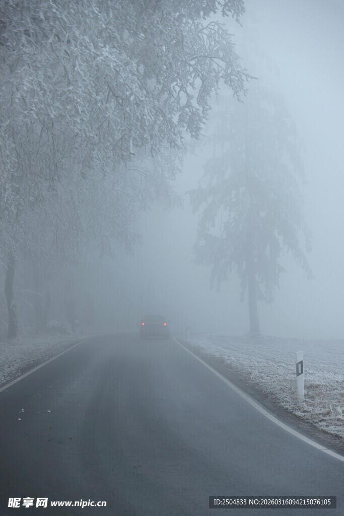 雾中公路 朦胧静谧之景