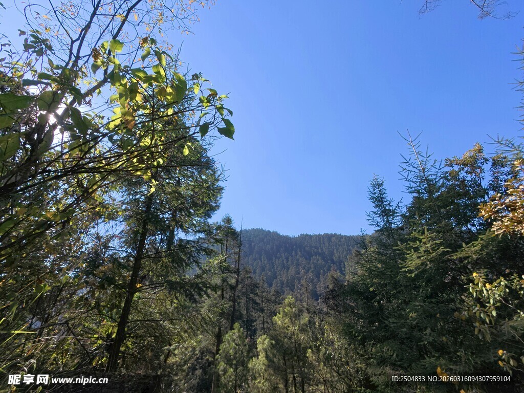 山林蓝天间的自然风光