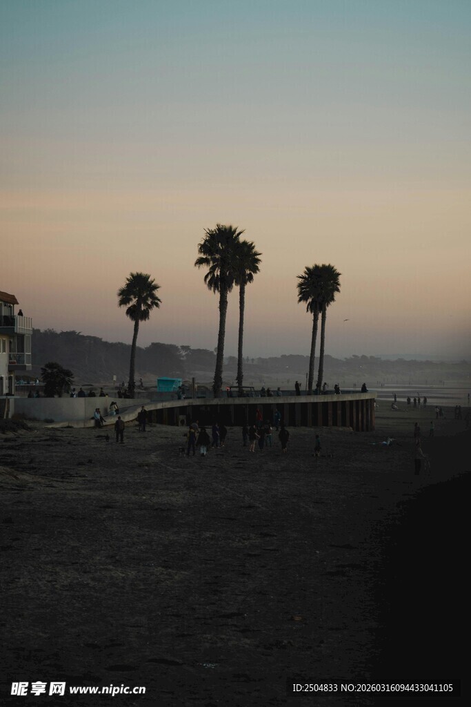 黄昏下的海边棕榈树风景