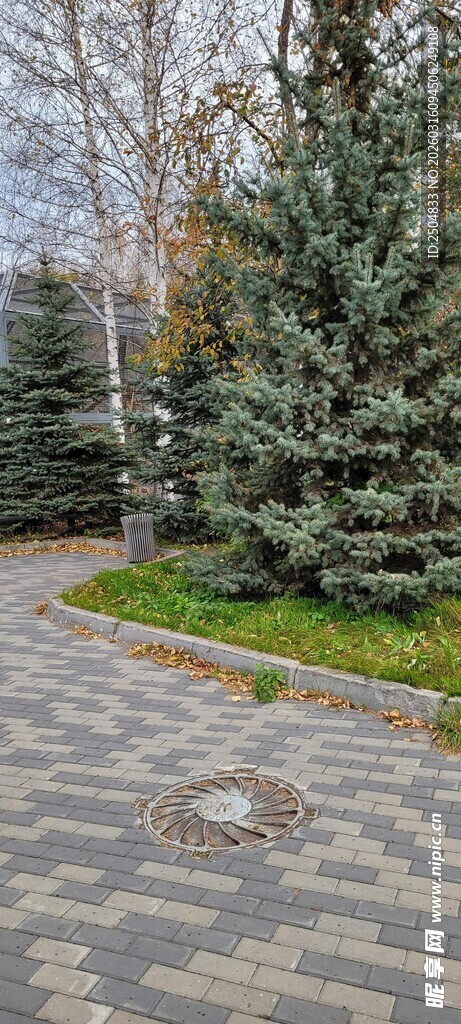 公园石板小径景观