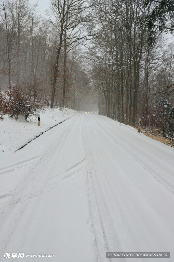 冬日雪覆林间滑雪道