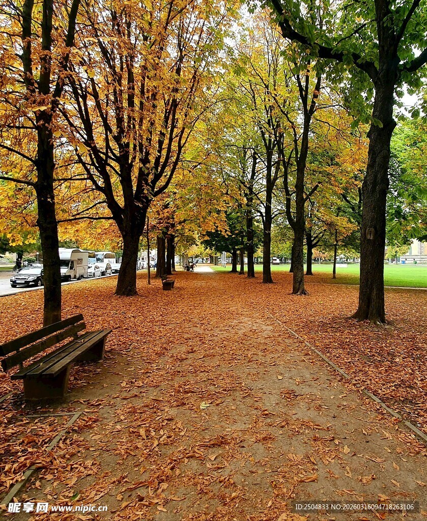 秋日林间小径与长椅