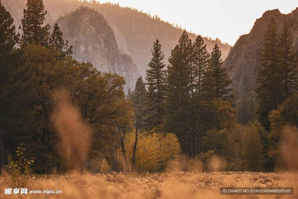 黄昏下的山林山谷美景