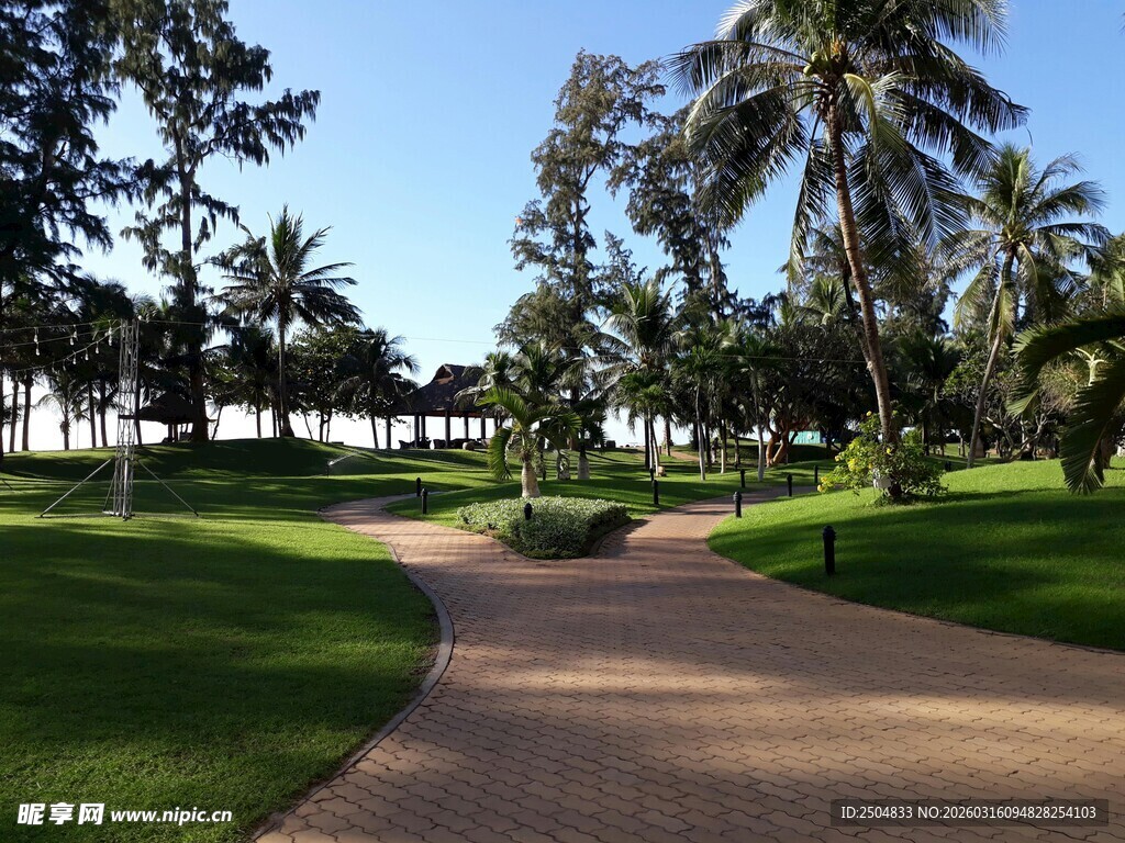 热带风光中的林荫小径