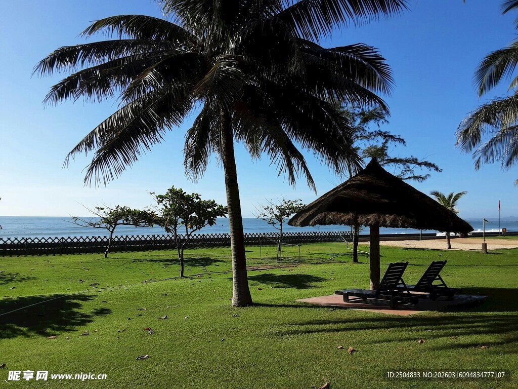 海滨草地休憩美景