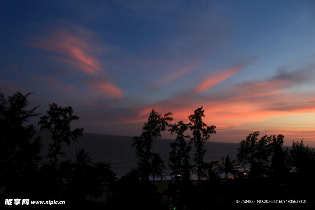 日落时分的树梢剪影