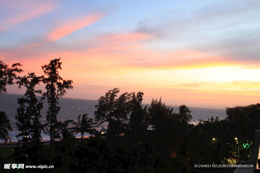 日落时分的树影与绚丽天际