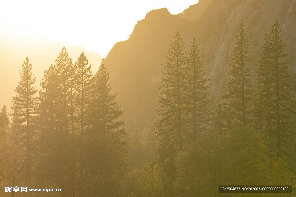 晨光中的山林美景