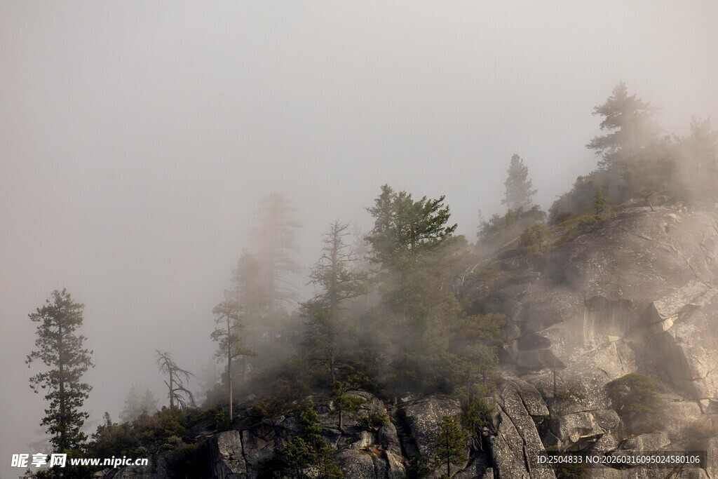 山间云雾缭绕的树木景观