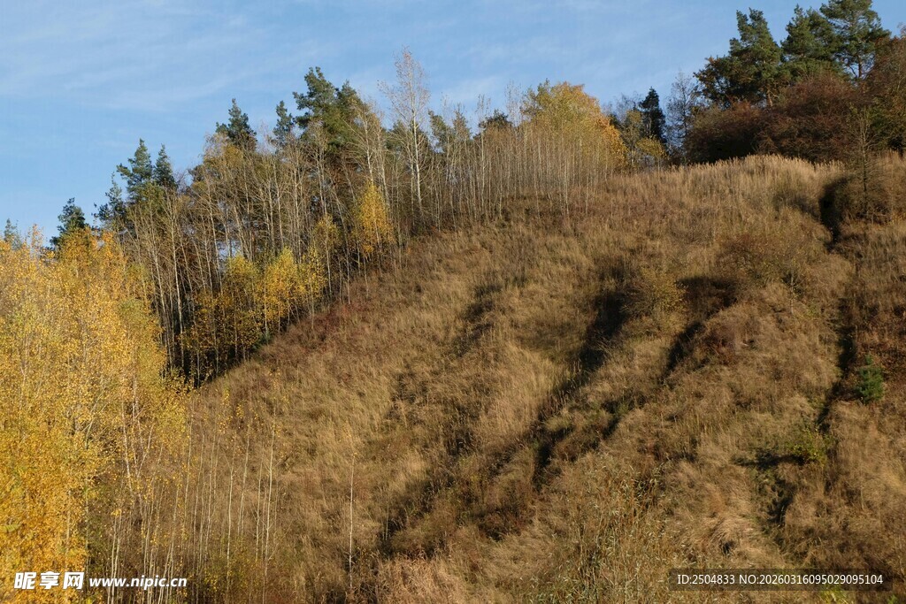 秋日山坡的多彩景致