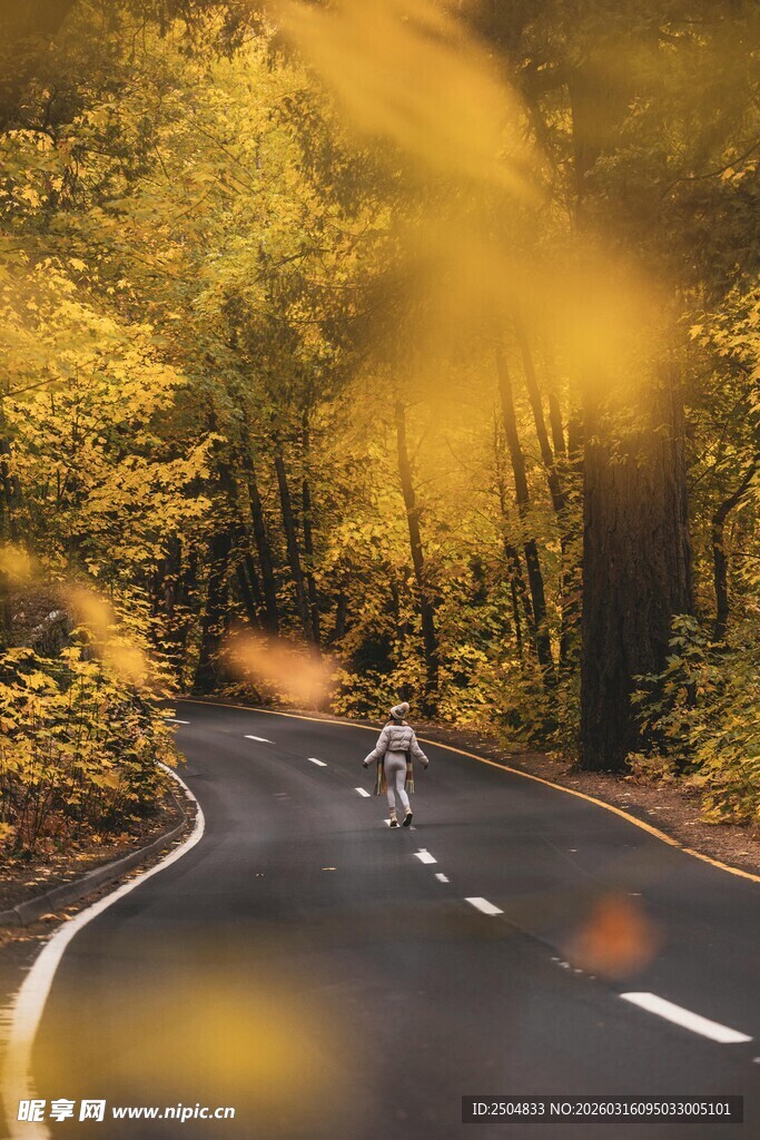 秋日林间骑行路