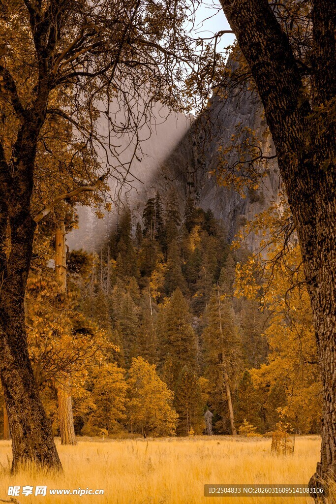 秋日山林间的静谧美景