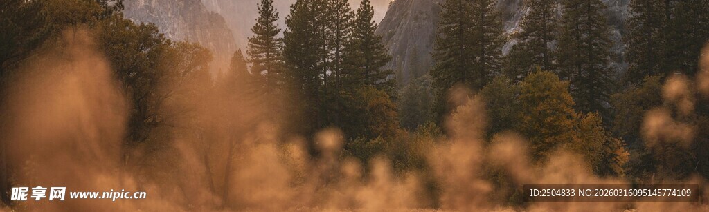 秋日山林中的朦胧景致