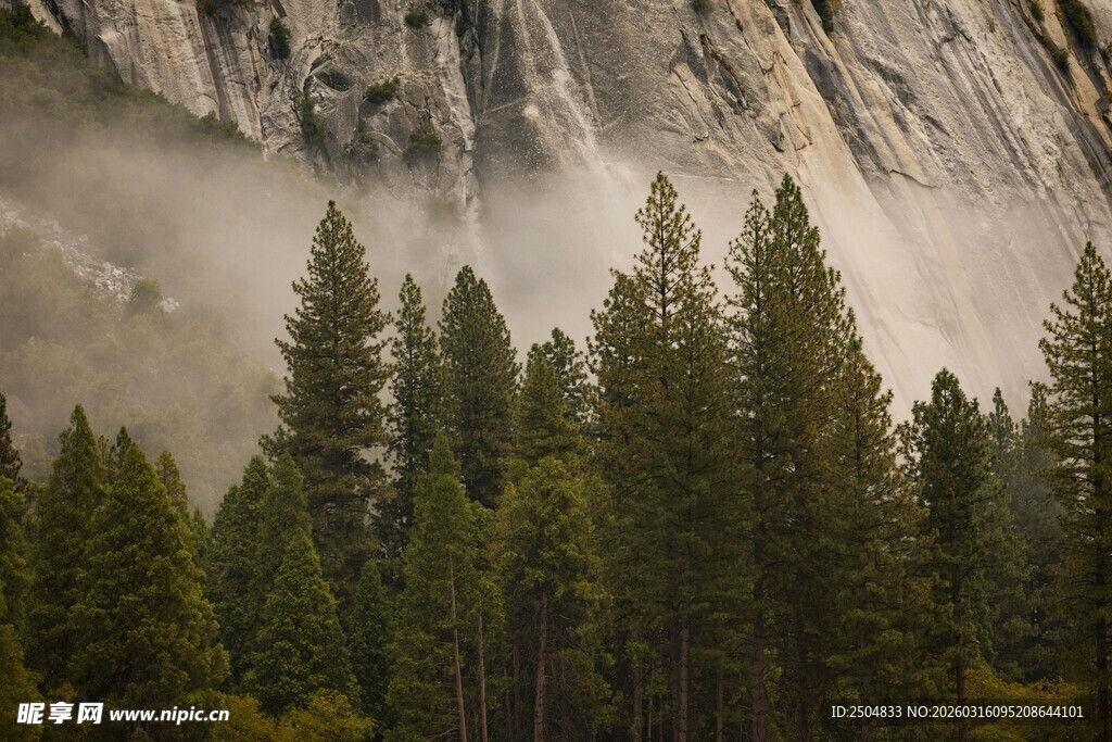 山林间的巍峨峭壁与松林